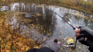 Ловля щуки осенью. Виброхвост Chimera Slade Minnow 4