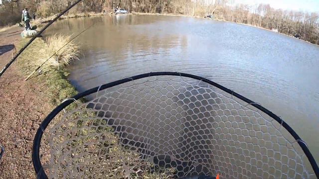 Ловля форели на блёсна Nories. Forellenangeln mit Spoons Nories. смотреть онлайн