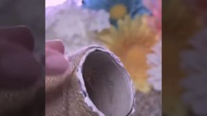 Красивая ваза из стеклянной бутылки