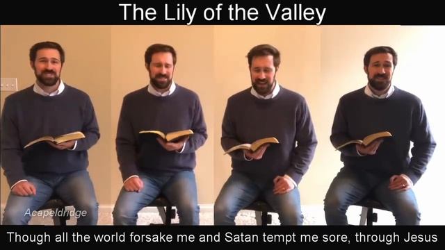 The Lily of the Valley смотреть онлайн