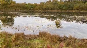 ОСЕННИЕ ОХОТЫ 2023