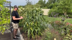 What's looking good in our Zone 5b Garden in August || Grow For Me 5b