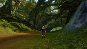 Archeage 5.5: Новая локация