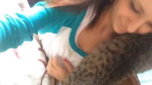 Кот очень любит хозяйку ))