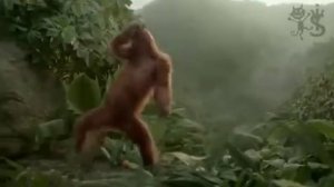 Обезьяна танцуют понедельник день тежёлый...