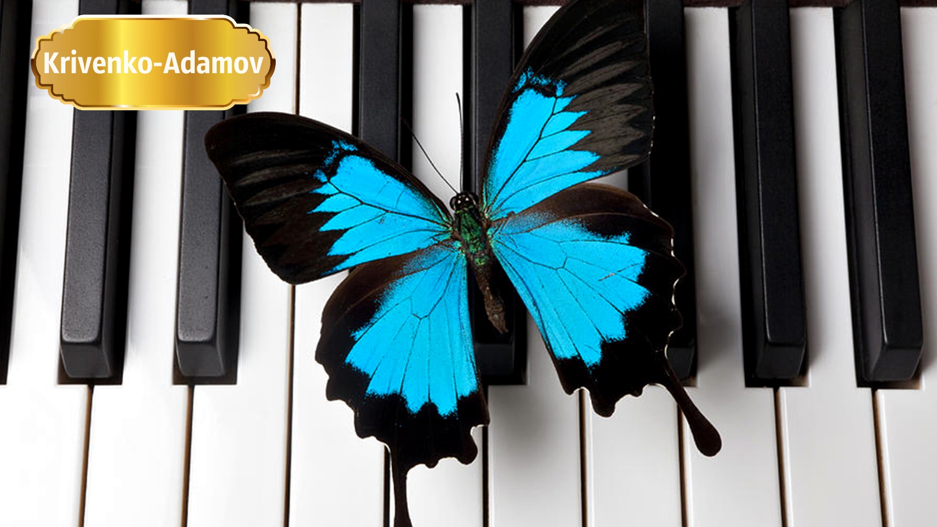 Торжественная музыка волшебных превращений | «Butterfly Without Wings»