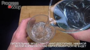 1 Чайная Ложечка под Любой домашний Цветок и Пышное цветение вам обеспечено!Цветет Вмиг +20 рецепто