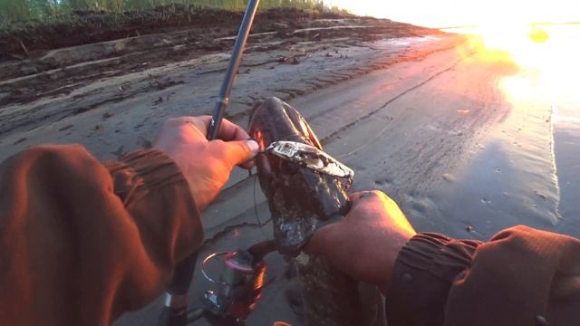 ПАЛКА В ДУГУ, НЕОЖИДАЛ ОТ ЭТОЙ ПРИМАНКИ!!! смотреть онлайн