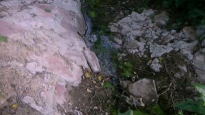 Гурам Грановский Подрезково Режиссёр Роман Цирлин