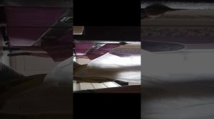 повторяю голы с листочков