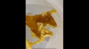 1. Животные на восковых отливках