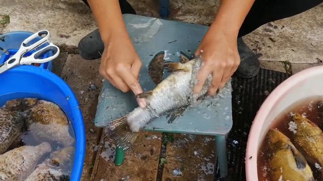 Самый простой способ почистить линя смотреть онлайн