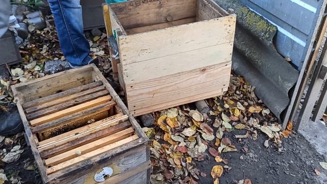 микро отводок в зиму смотреть онлайн