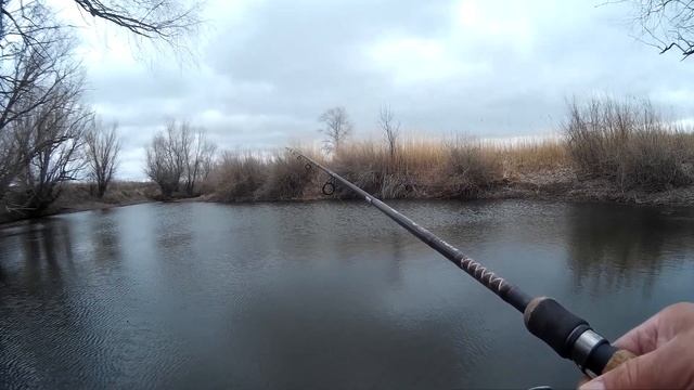 Вы не поверите, здесь столько рыбы. смотреть онлайн
