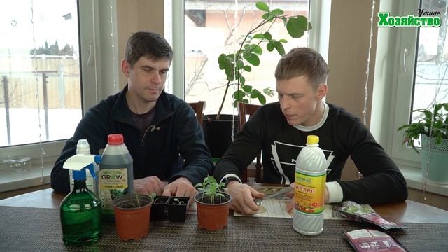 Почему важно проводить внекорневые подкормки для рассады?