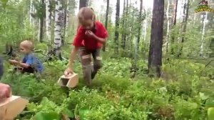 А вокруг голубая, голубая тайга...
