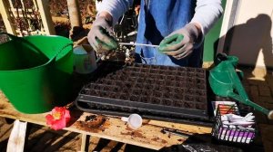 Посев семян в специальные контейнеры??Мини-теплица ?