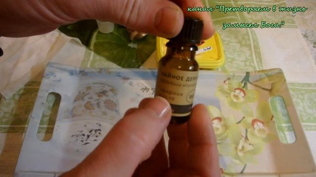 Чем лучше обработать семена алоэ,медом,золой или м.чайного дерева? смотреть онлайн