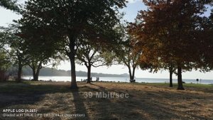 Apple LOG h.265 vs ProRes 422 HQ | Blackmagic Camera App on iPhone 15 Pro Max