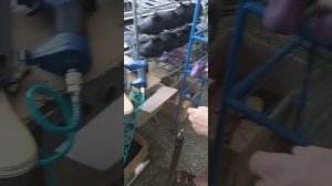 Прибивка стельке к колодке. "Сборщик обуви "