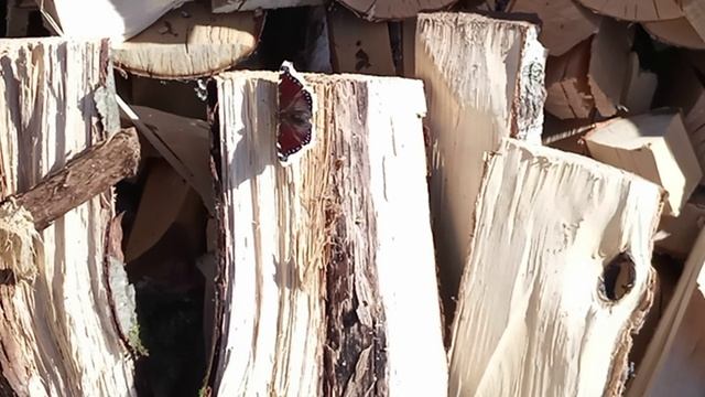 В ДЕРЕВНЕ/БАБОЧКА НА ДРОВАХ смотреть онлайн