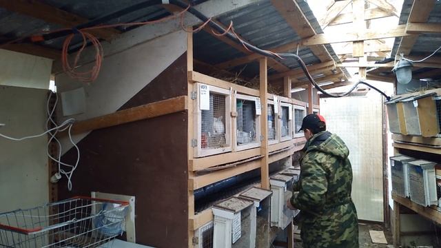 КРОЛЬЧАТА В ПУХУ ЗНАЧИТ КРОЛИКАМ БЫТЬ разведение и выращивание кроликов