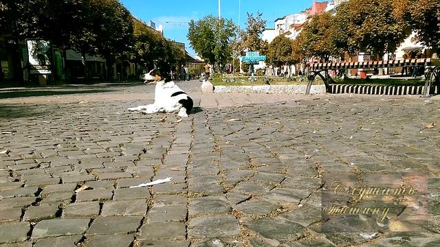 Звуки города - Шум городской улицы