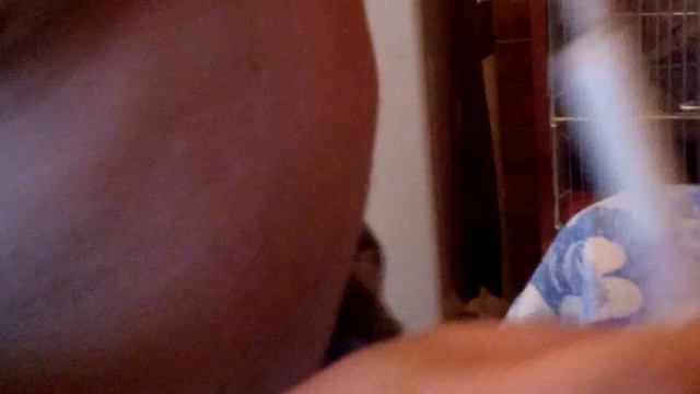 Вскармливание новорожденных крольчат детским питанием Малютка 2 смотреть онлайн