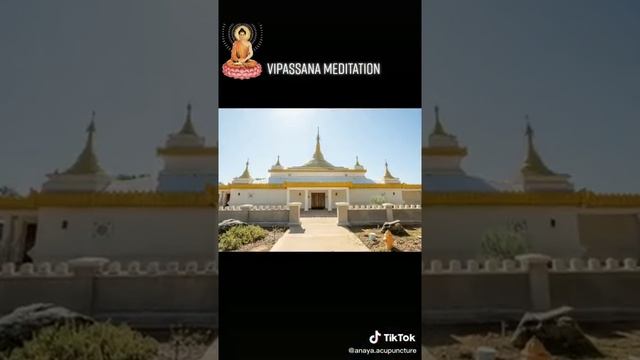 Vipassana - Insight Meditation for Well-Being -- No Mud ? No Lotus ? ???☸︎ #Shorts смотреть онлайн