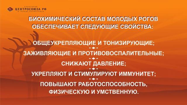 ПАНТ ОN смотреть онлайн