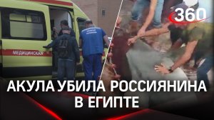 Поймали акулу, убившую в Хургаде гражданина РФ. Его мать госпитализирована