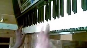 Полька на синтезаторе!!