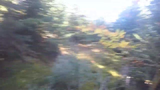 Houral et bécasse tir d’instinct смотреть онлайн