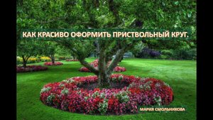 Как красиво оформить приствольный круг.