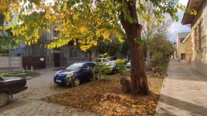 Евпатория Прогулка по ул. Гоголя,Кирова,Санаторская,Дувановская. Краеведческий музей города.Крым202