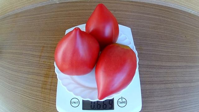 Томат, Сердца Гонсиоровских смотреть онлайн