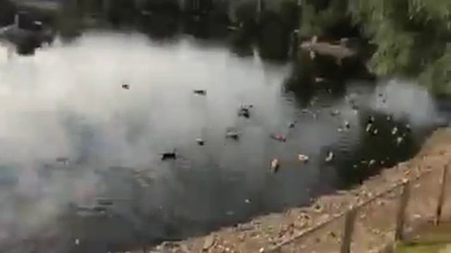 IRL стреч за 27 августа часть 1 смотреть онлайн