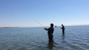 Ловля ставриды на силиконовые приманки