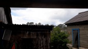 Как посадить картошку. Сажаем элитный сорт картофеля. Амурская усадьба.