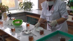 Лучшая сельская школьная столовая