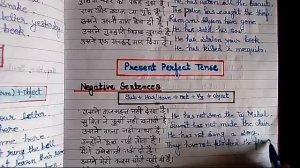 present perfect tense negative examples | present perfect tense negative sentence | present perfect