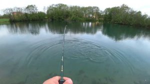 Ловля прудовой форели на спиннинг