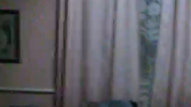 Мои комнатные растения 2017 смотреть онлайн