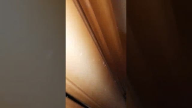 как отмыть сильно загрязненный линолеум
