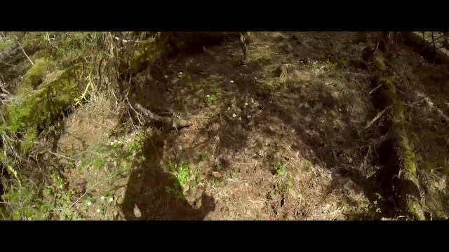 NOISY USVA (BIKE-KAYAK TRAVEL FILM) смотреть онлайн