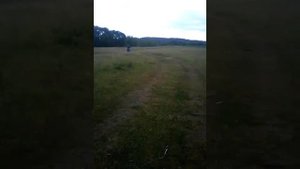 Обзор мопеда рига 11