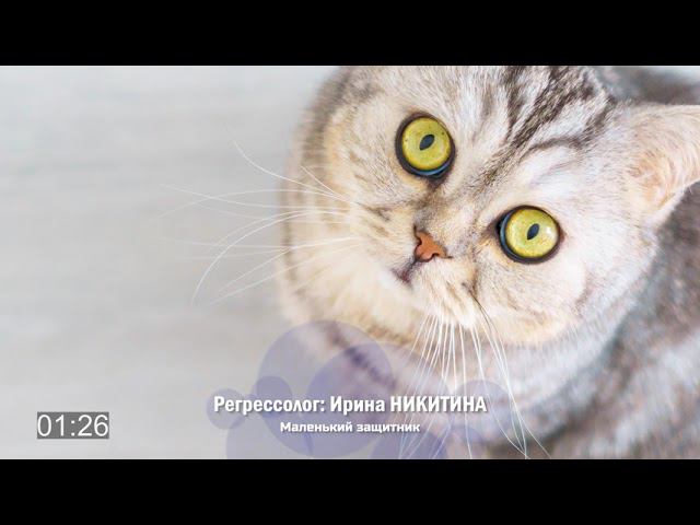Сеансы регрессии на ТВ Экстра. Ирина Никитина - Защитник Беня (фрагмент)
