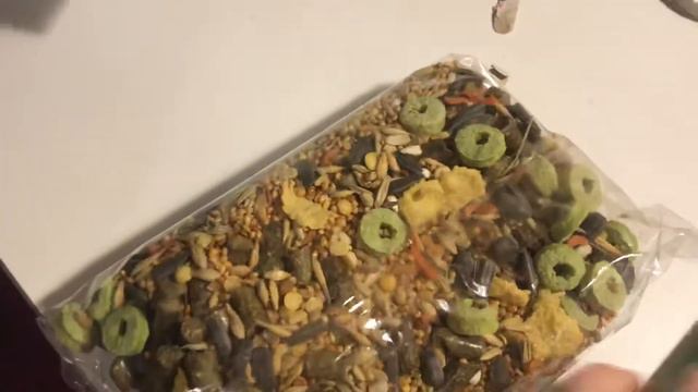 Чем кормить морскую свинку смотреть онлайн