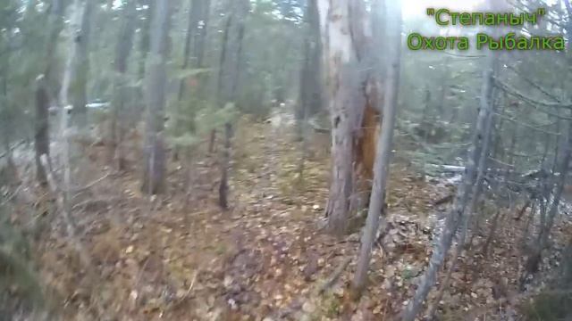 1 заезд Пилим Большой круг Выезжаем (2 часть) 06 10 21 смотреть онлайн