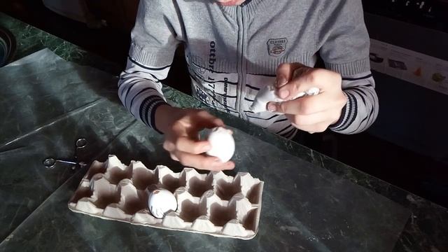 Гипсовые яйца для кур